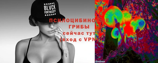 эйфоретик Надым