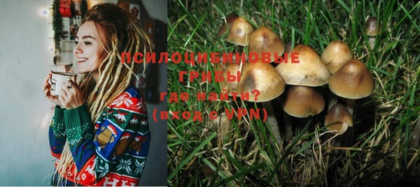 эйфоретик Надым