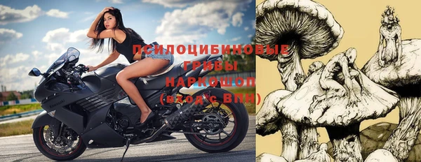 ПСИЛОЦИБИНОВЫЕ ГРИБЫ Наволоки