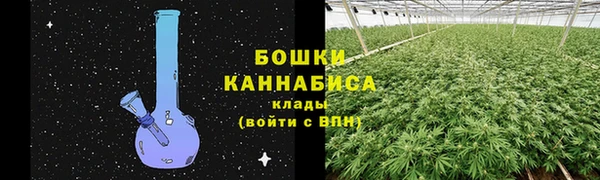 сатива Навашино