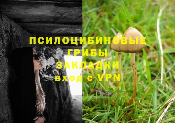 сатива Навашино